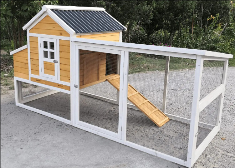 Laredo Chicken Coop
