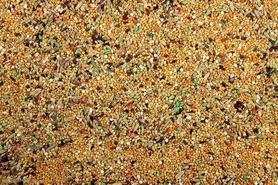 Finch Cuisine 4 lbs.