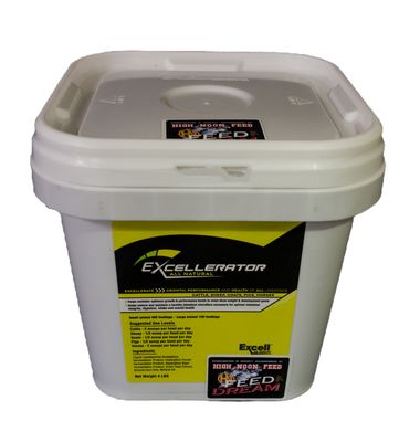High Noon Excellerator, 4 lbs.