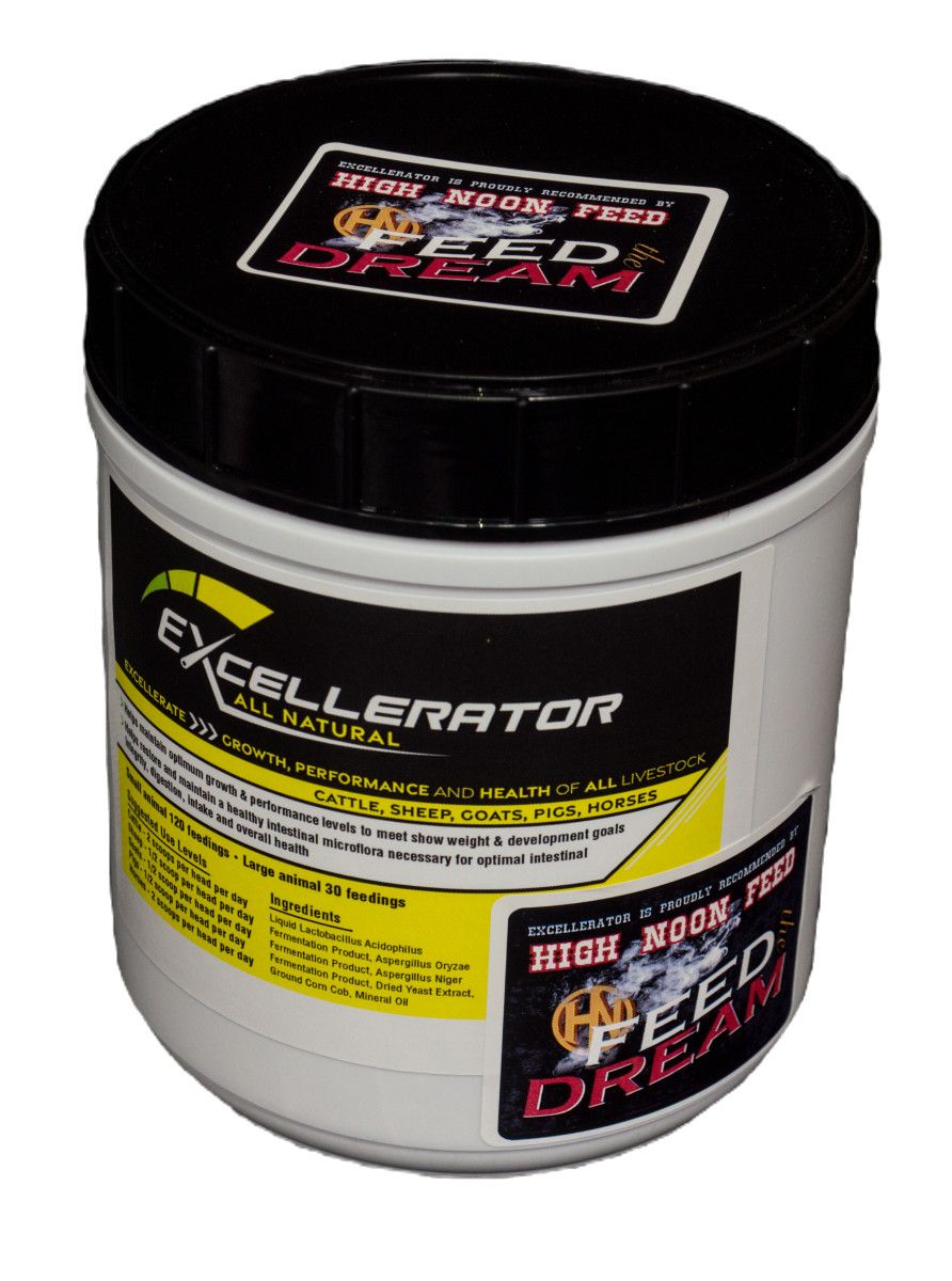 High Noon Excellerator, 1 lbs.