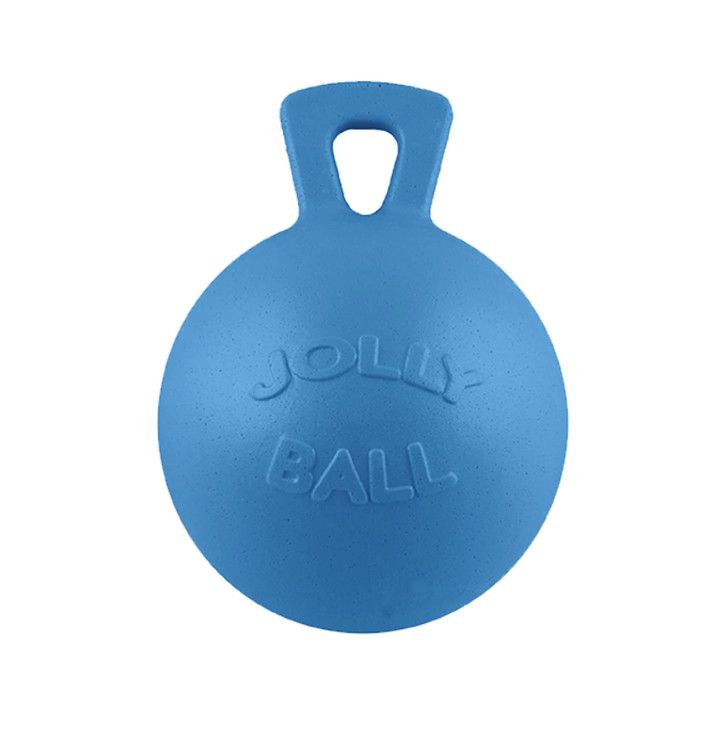 Blueberry Jolly Ball Tug-N-Toss, 10 inch