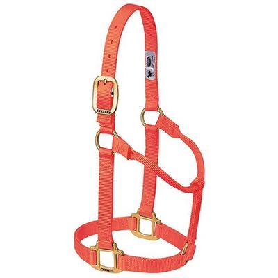 Weaver Horse Halter Orange, Average