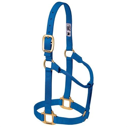 Weaver Horse Halter Blue, Average