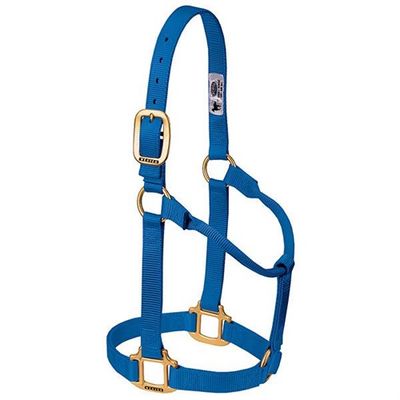 Weaver Horse Halter Blue, Average