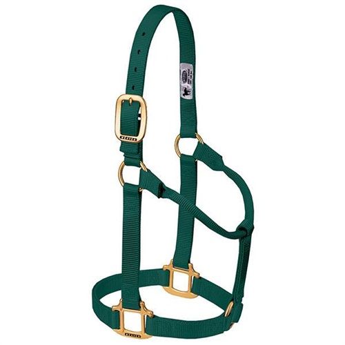 Weaver Horse Halter Hunter Green, Average