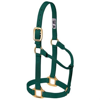 Weaver Horse Halter Hunter Green, Average