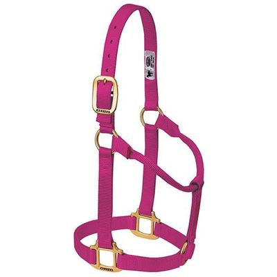 Weaver Horse Halter Raspberry, Yearling
