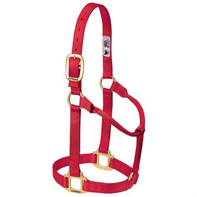 Weaver Horse Halter Red, Yearling