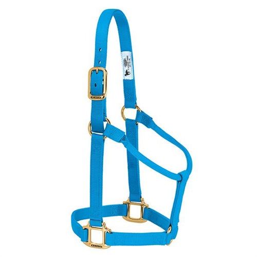 Weaver Horse Halter Hurricane Blue, Yearling