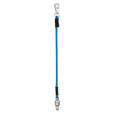 Weaver Bungee Trailer Tie, Hurricane Blue