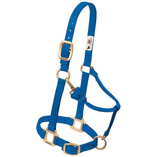 Weaver Horse Halter Blue, Small