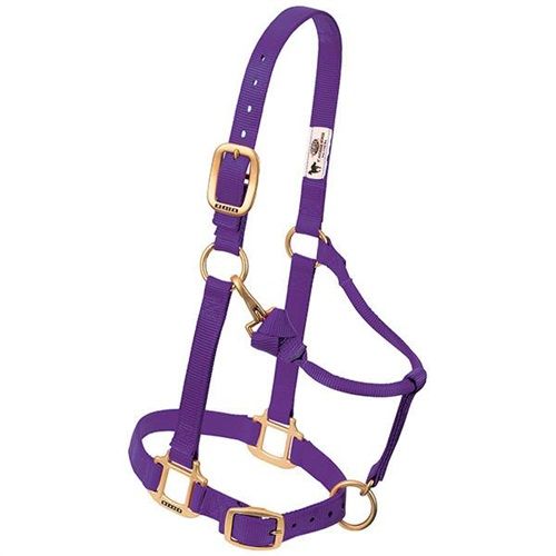 Weaver Horse Halter Purple, Small