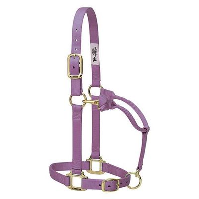 Weaver Horse Halter Lavender, Average