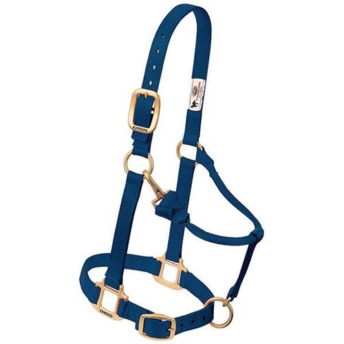 Weaver Horse Halter Navy, Average