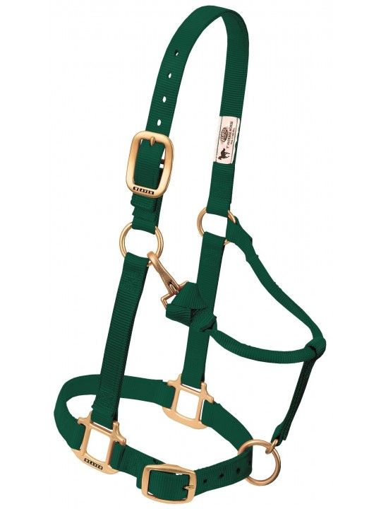 Weaver Horse Halter Hunter Green, Large