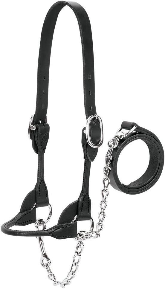 Weaver Round Show Halter Large