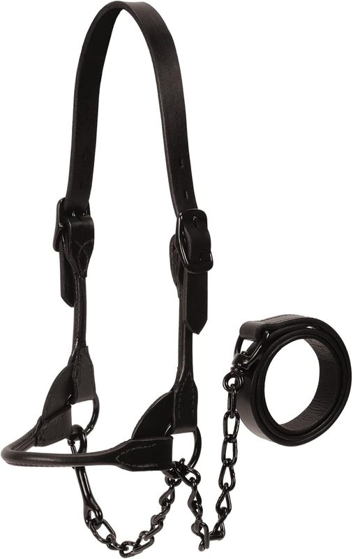 Black Magic Show Halter Large