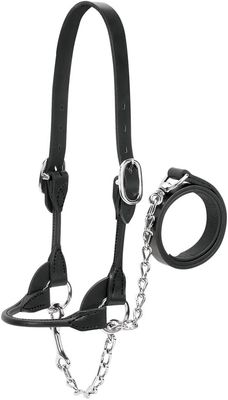 Weaver Round Show Halter Xlarge