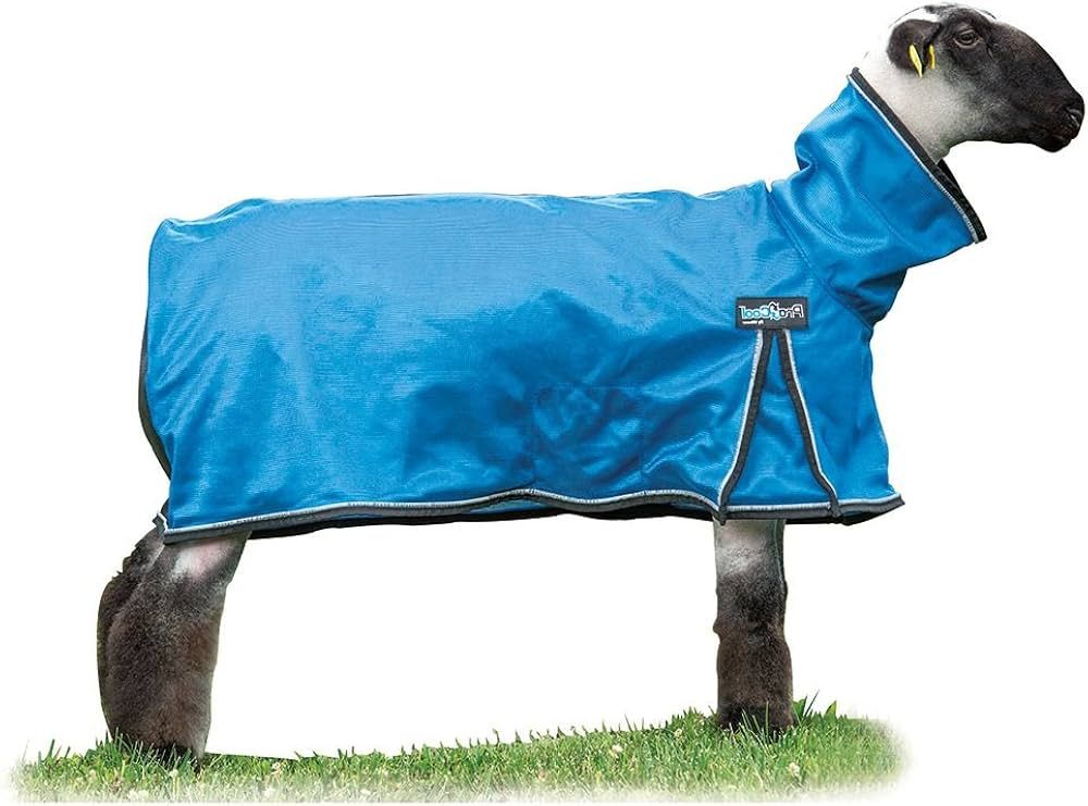 Procool Sheep Blanket, Blue Medium