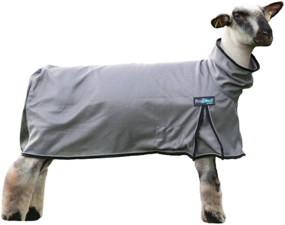 Procool Sheep Blanket, Gray Large