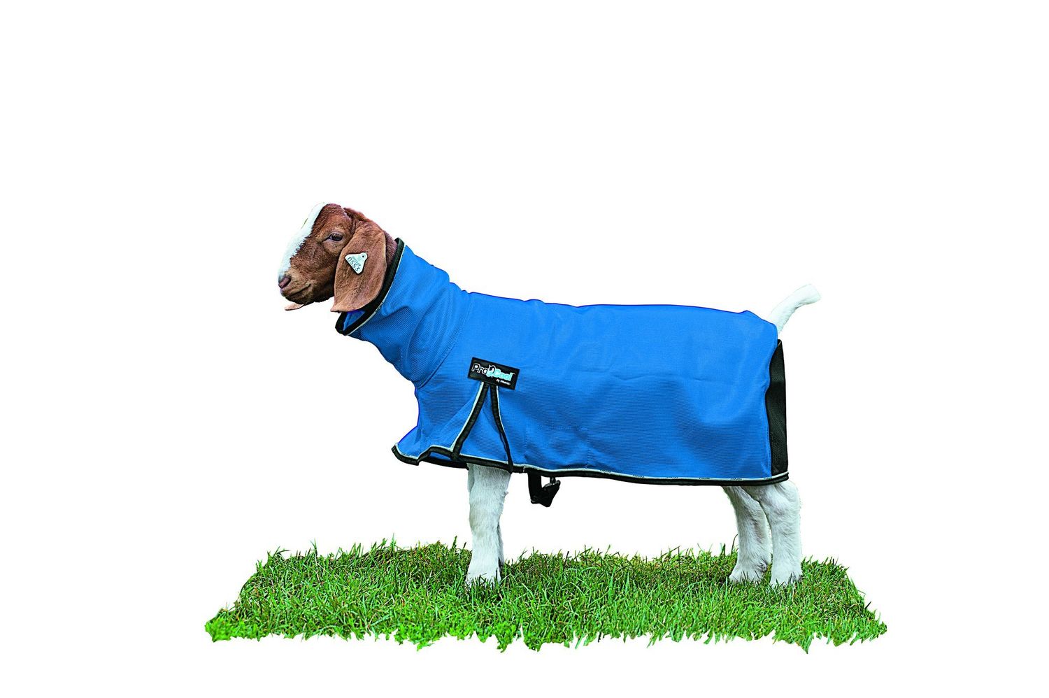Procool Goat Blanket, Blue Large