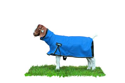 Procool Goat Blanket, Blue Large