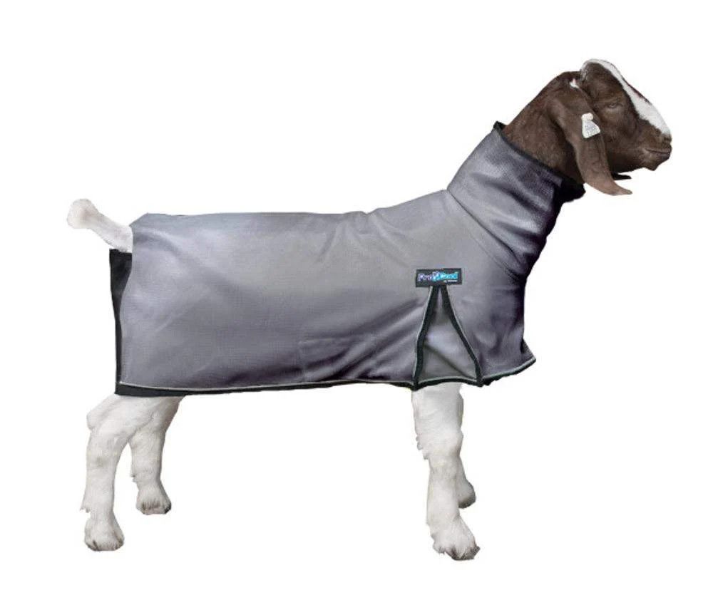 Procool Goat Blanket, Gray Large