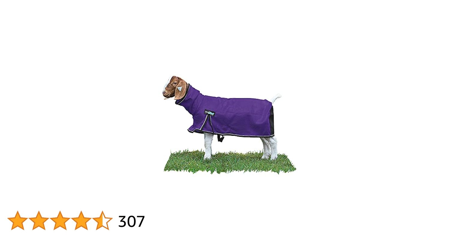 Procool Goat Blanket, Purple Large