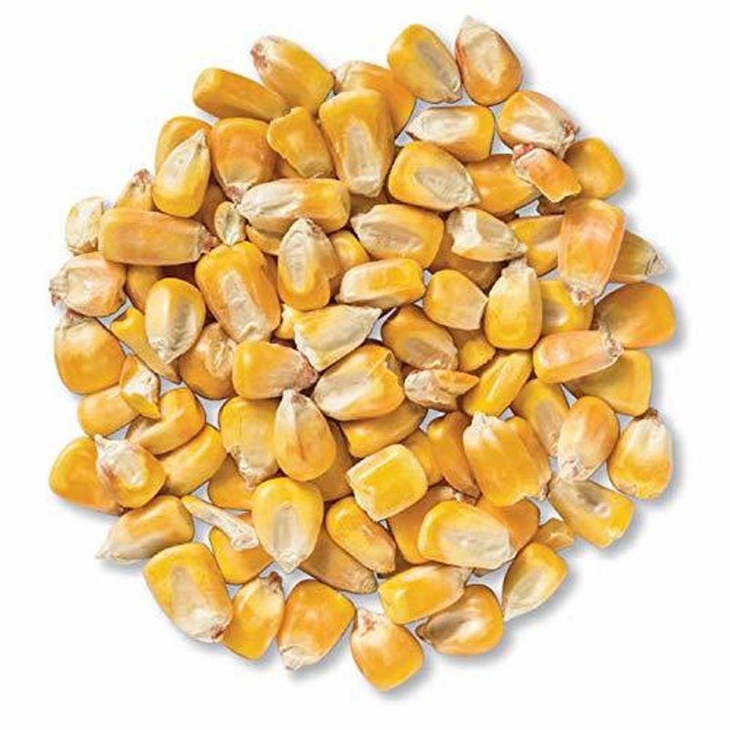 Corn, Whole, 10 lbs.