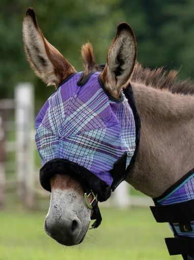 Mini Fly Mask, Large Lavender Mint