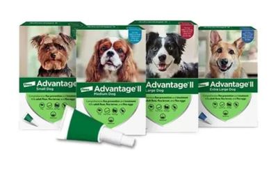 Advantage Dog Teal 11-20#