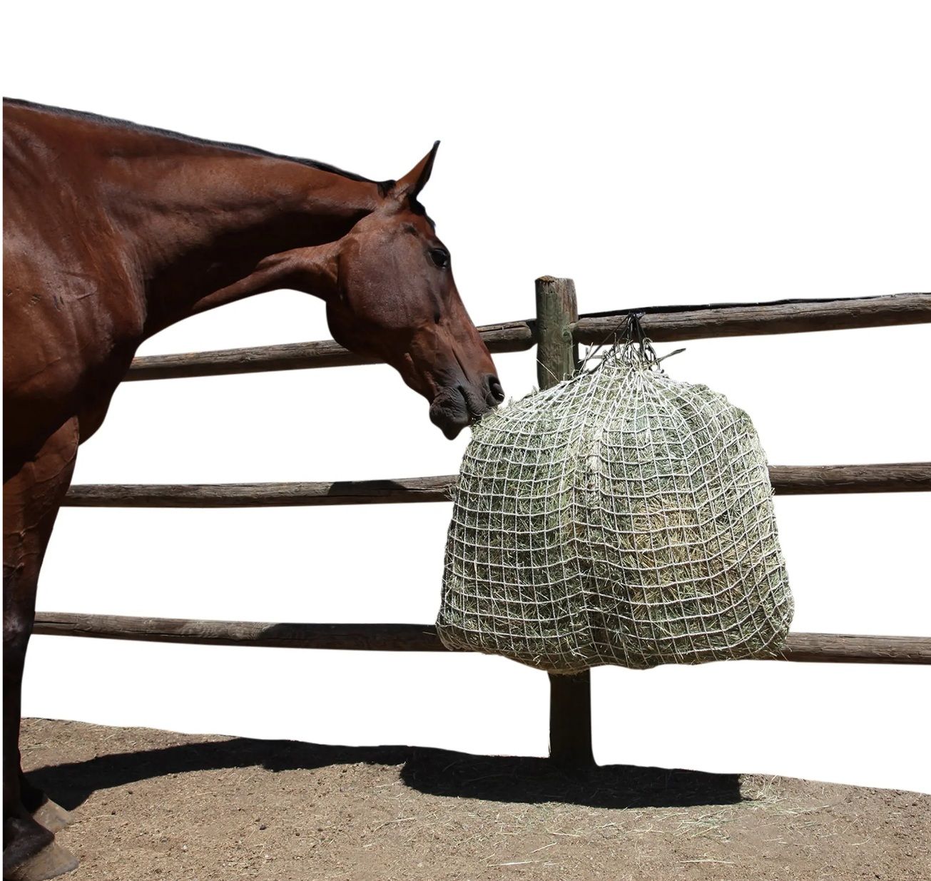 Freedom Feeder Hay Net Day, 1.5&quot;
