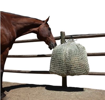 Freedom Feeder Hay Net Day, 1.5&quot;