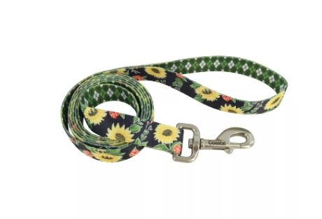 Adjustable Leash Sunset Palms, 1&quot;x6&#39;