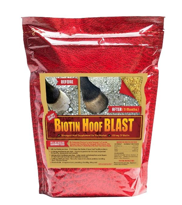 Biotin Hoof Blast 100 mg, 10 lbs