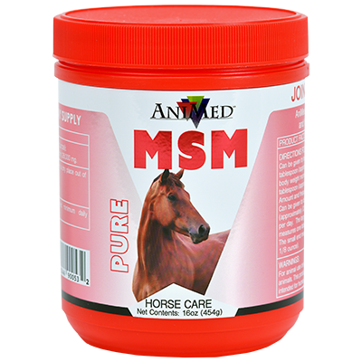 Animed MSM, 16 Oz