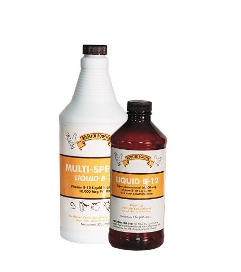 B12 Liquid, 16 oz.