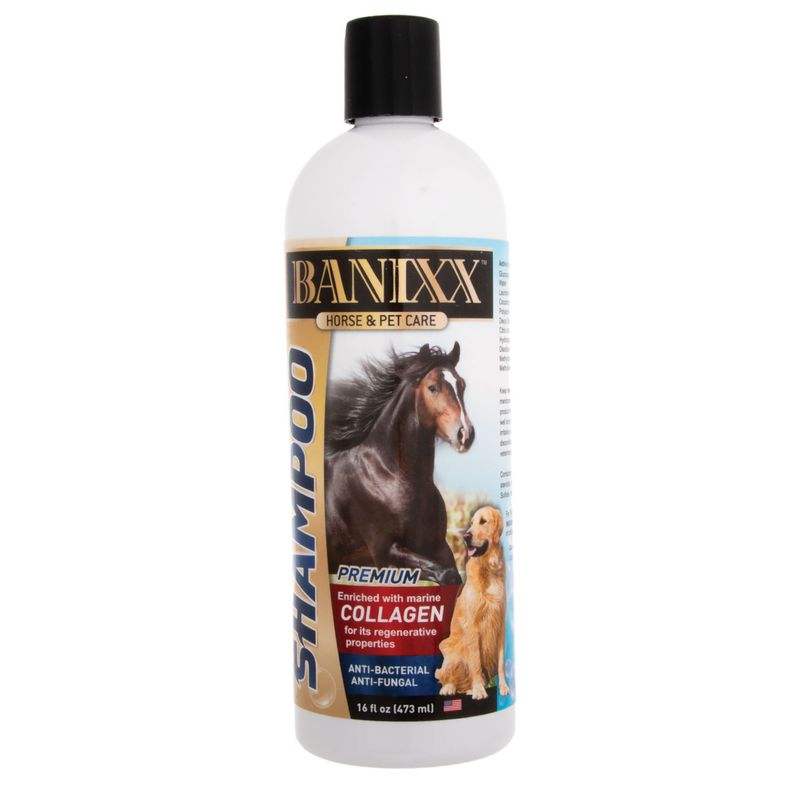 Banixx Horse Shampoo 16 Oz