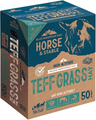 Blue Mountain Teff Hay, 50 lbs.