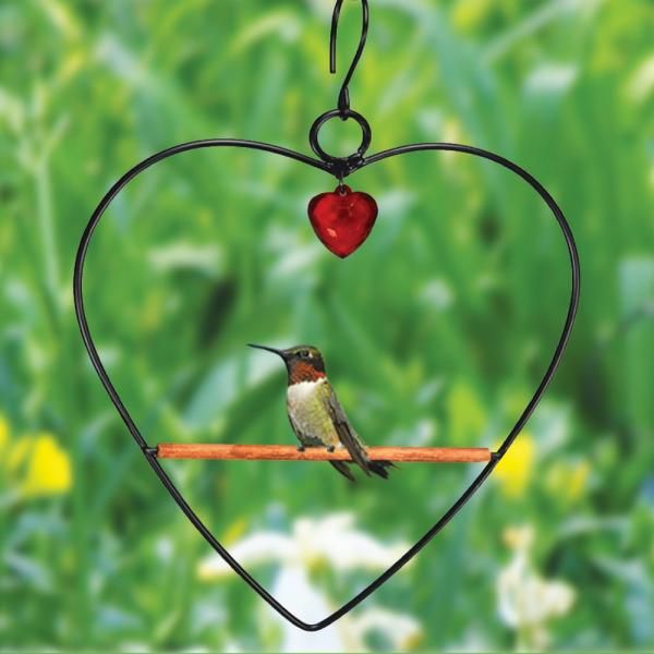 Tweet Heart Birdie Swing, Black
