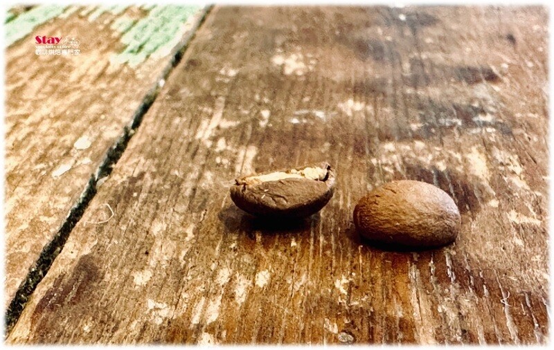 衣索比亞 西達摩(西達馬)產區 班莎 龐貝村 74158單一品種 日曬處理 G1 | Ethiopia Sidama Bensa Bombe V74158 Natural G1