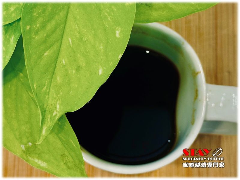 巴西 南米納斯產區 伊帕內瑪莊園 甜蜜日曬 日曬處理法 | Brazil Sul de Minas Ipanema Dulce Natural