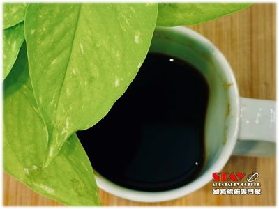 巴西 南米納斯產區 伊帕內瑪莊園 甜蜜日曬 日曬處理法 | Brazil Sul de Minas Ipanema Dulce Natural