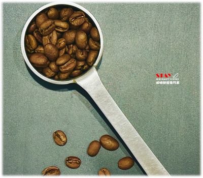 尼加拉瓜 米耶瑞詡家族 愉悅莊園 爪哇品種 蜜處理法 | Nicaragua Mierisch Los Placeres Javanica Pulped Natural