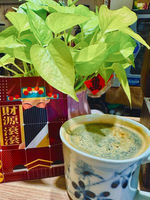 哥斯大黎加 布蘭卡產區 奇里波山谷 奇里波美景莊園 黑蜜處理法 | Costa Rica Brunca Chirripo Rivense Vista El Chirripo Black Honey