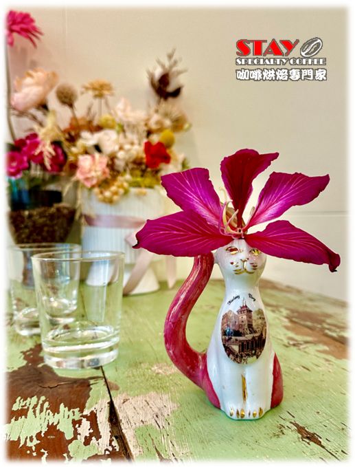 哥倫比亞 娜玲瓏產區 拉米尼塔 模範生 水洗處理 | Colombia Narino La Minita Reserva del Patron Washed