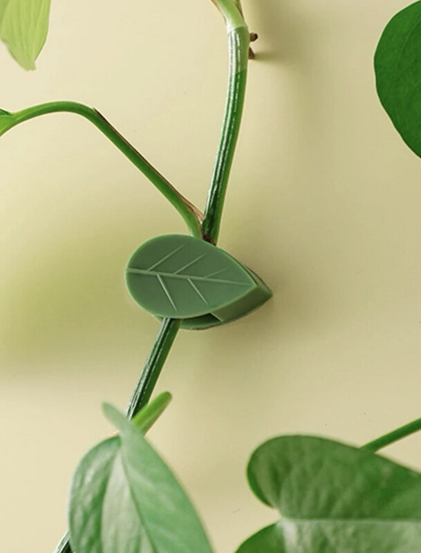 Vine Wall Clips