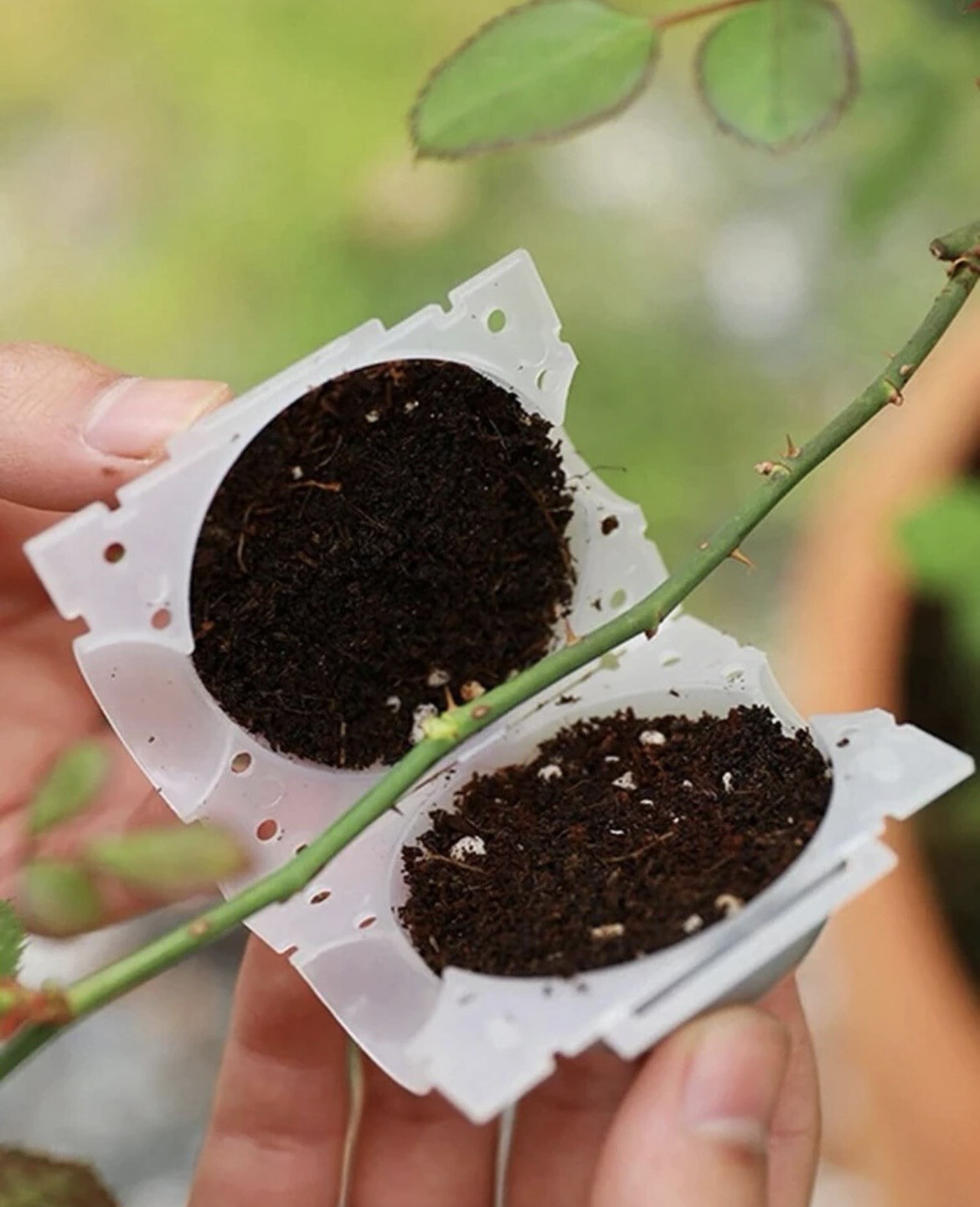 Plastic Rooting Ball