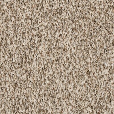 Carpet