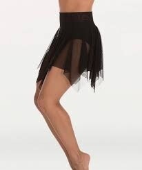 Body Wrappers skirt Body Wrappers skirt